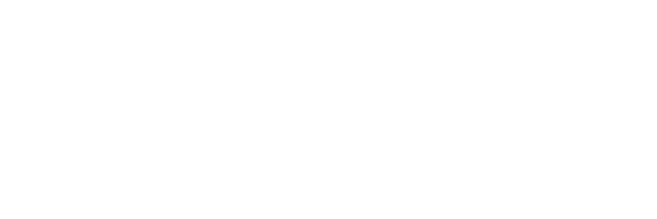 Complete AI Training