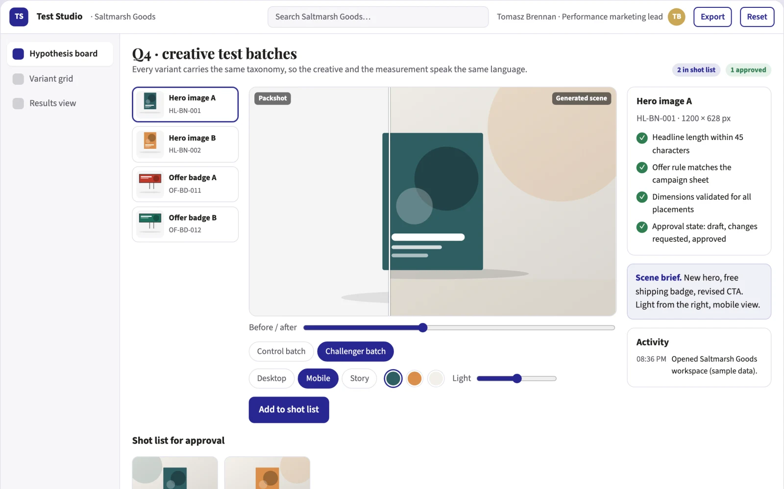 What Advertising creative testing service looks like