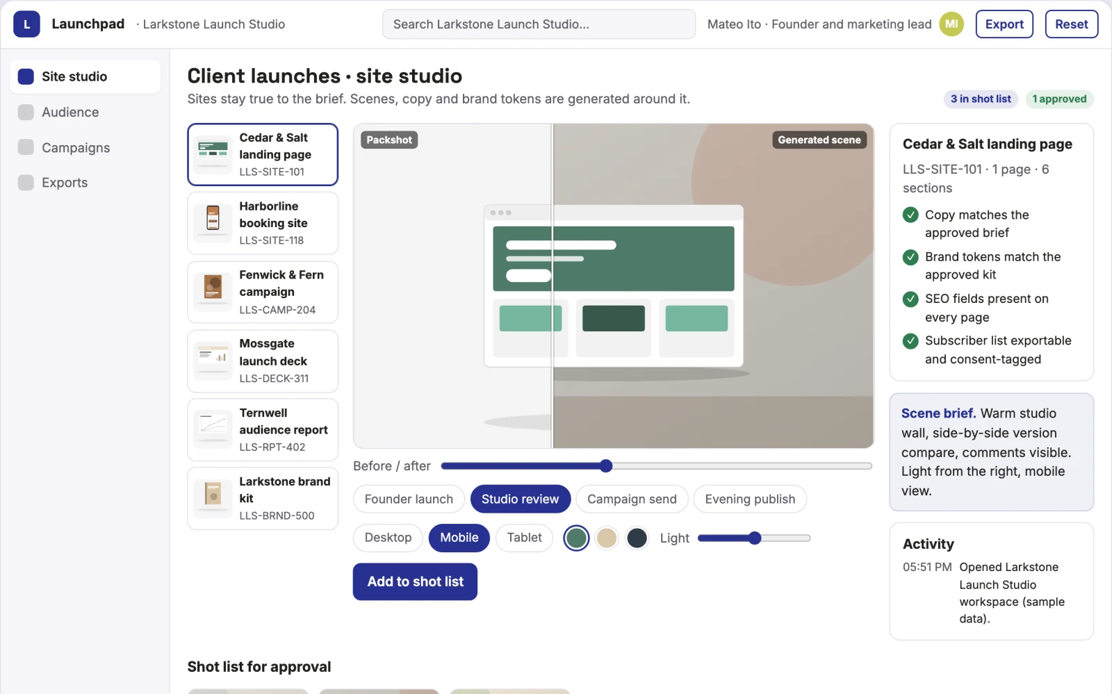 What Description-to-site launch and audience workbench looks like