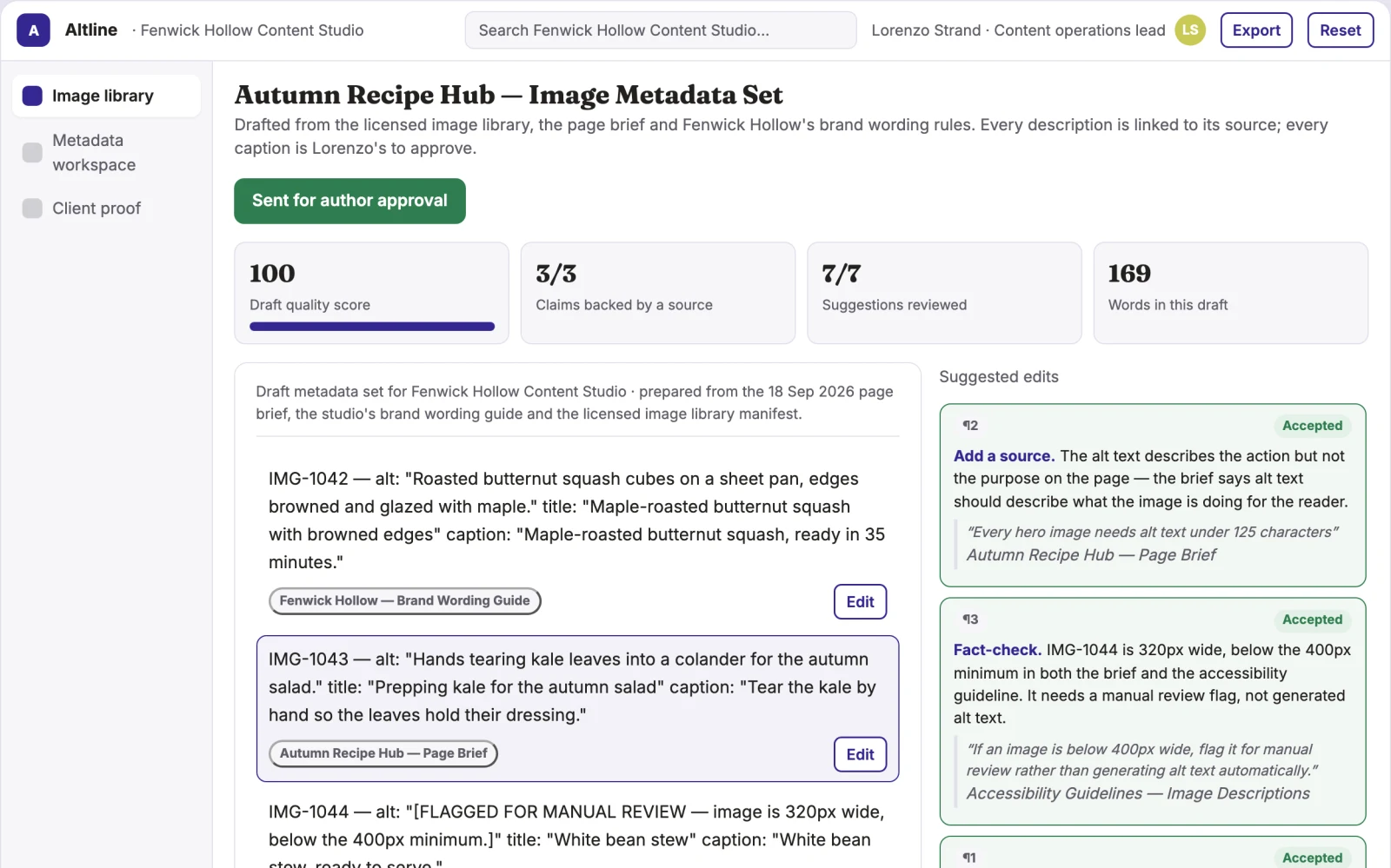 What Image metadata and accessible content workspace looks like