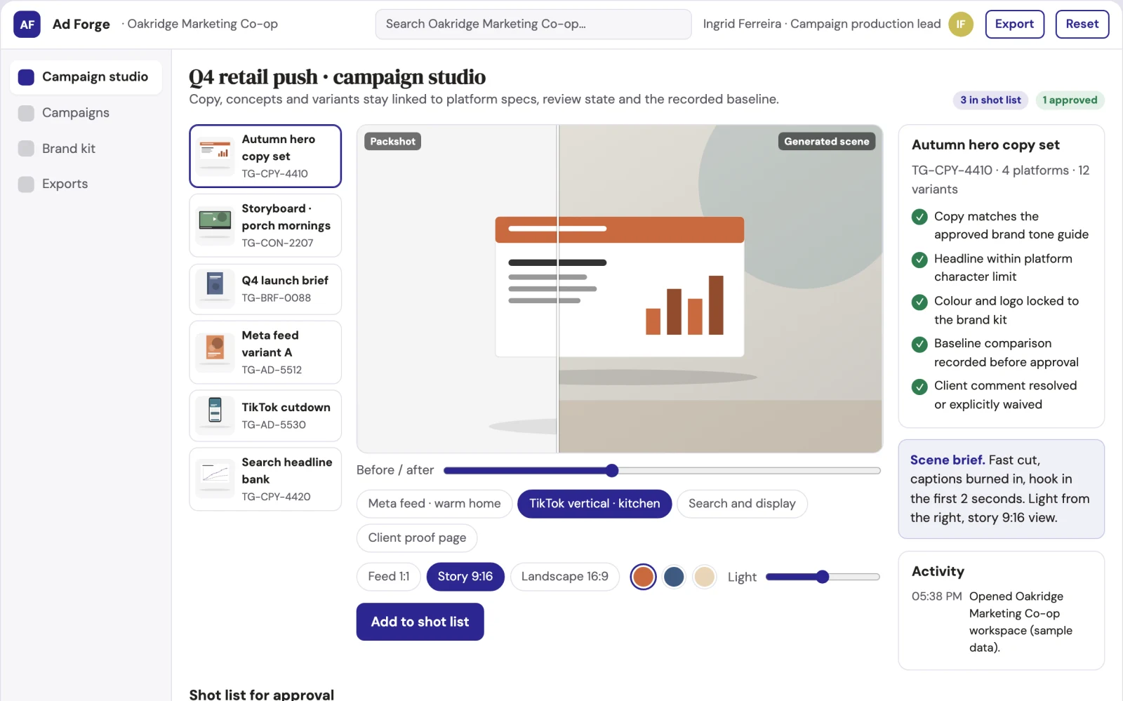What Multi-platform ad campaign production workbench looks like