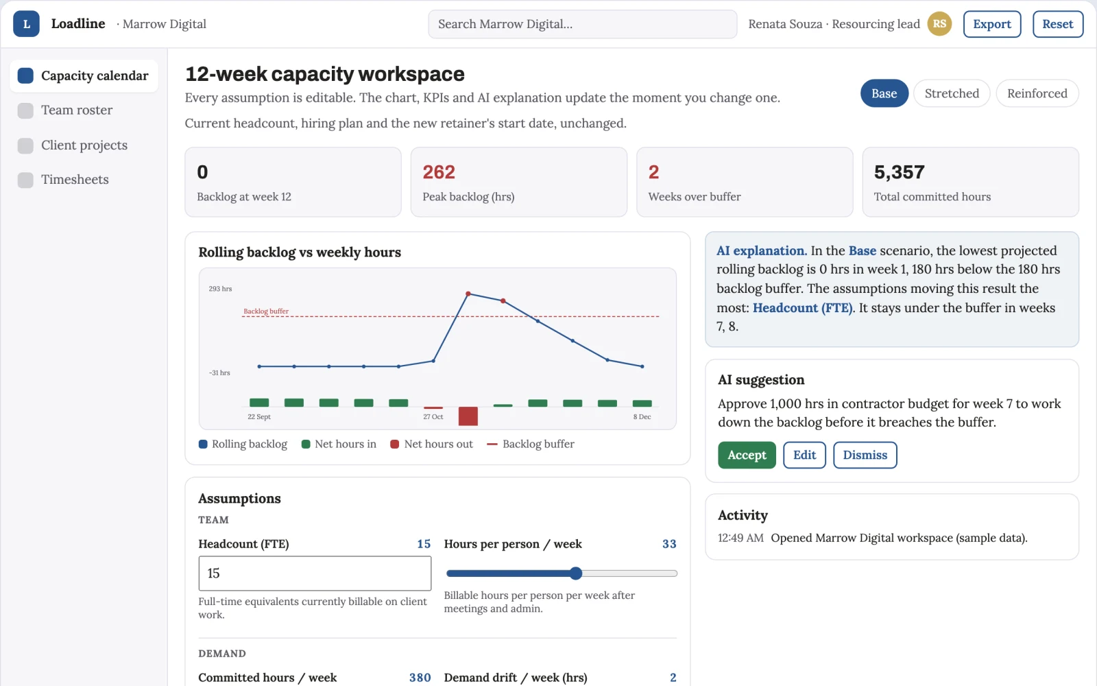 What Team capacity planner looks like