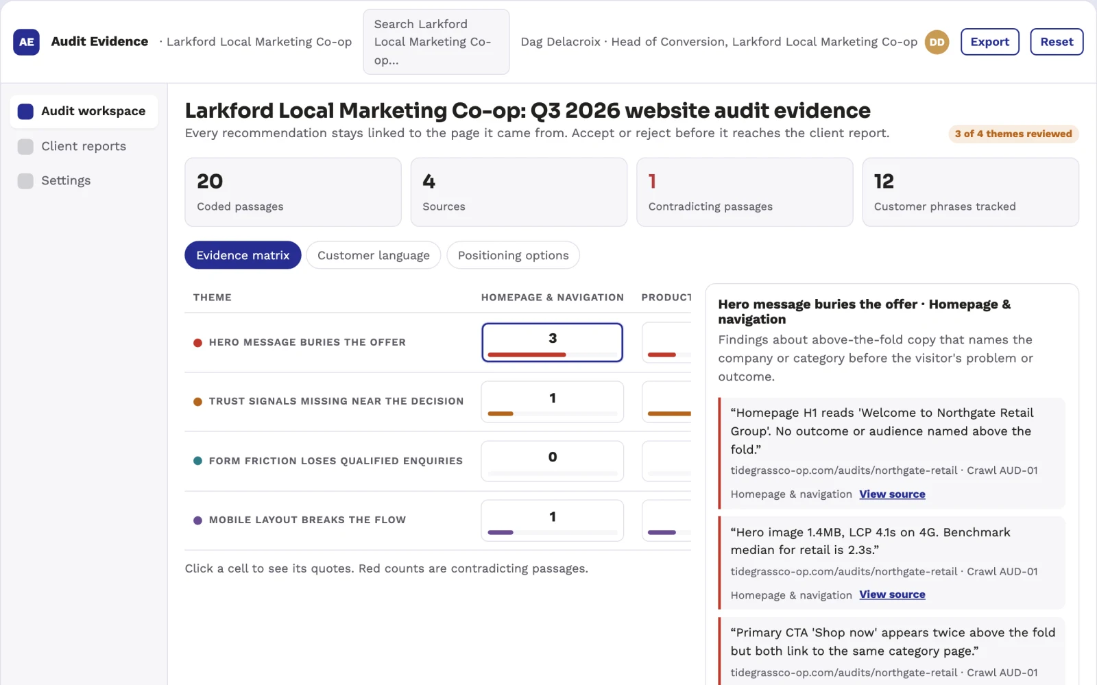 What Website audit and conversion evidence workspace looks like